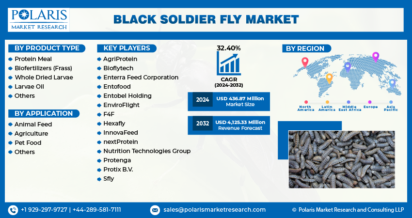 Black Soldier Fly Market Size